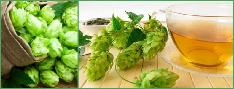 decoction ng hop cones para sa potency pagkatapos ng 50