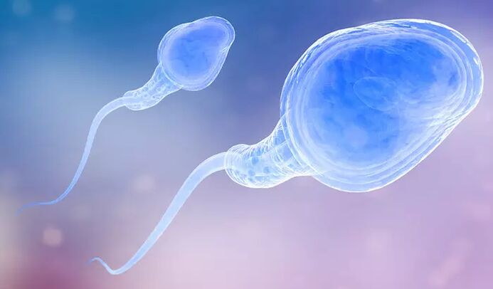Ang spermatozoa ay maaaring naroroon sa pre-ejaculate ng isang lalaki