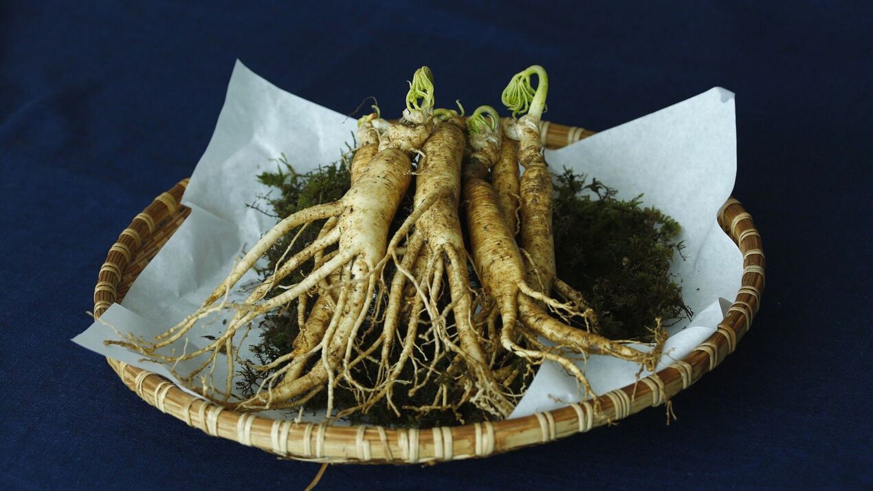 ginseng root upang madagdagan ang potency